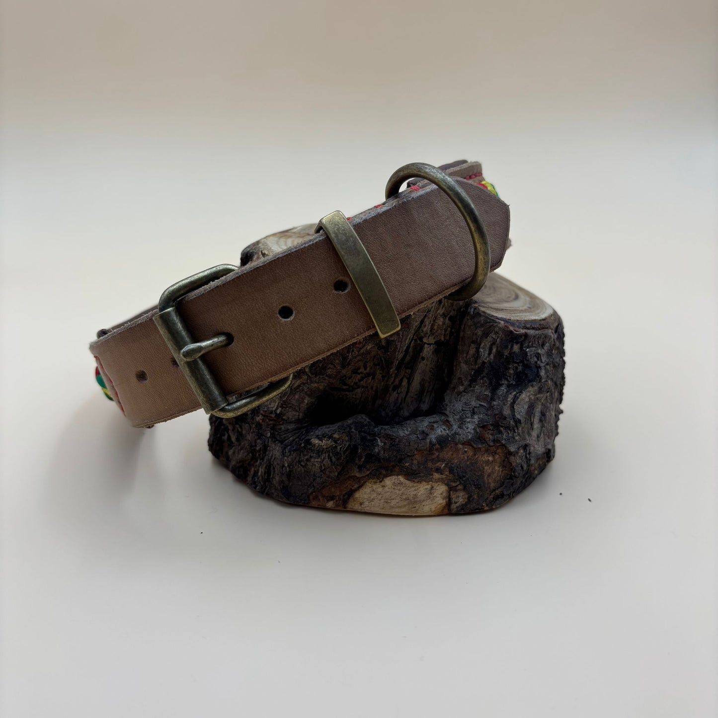 Hundehalsband Leder mit Paracord-Schnürung