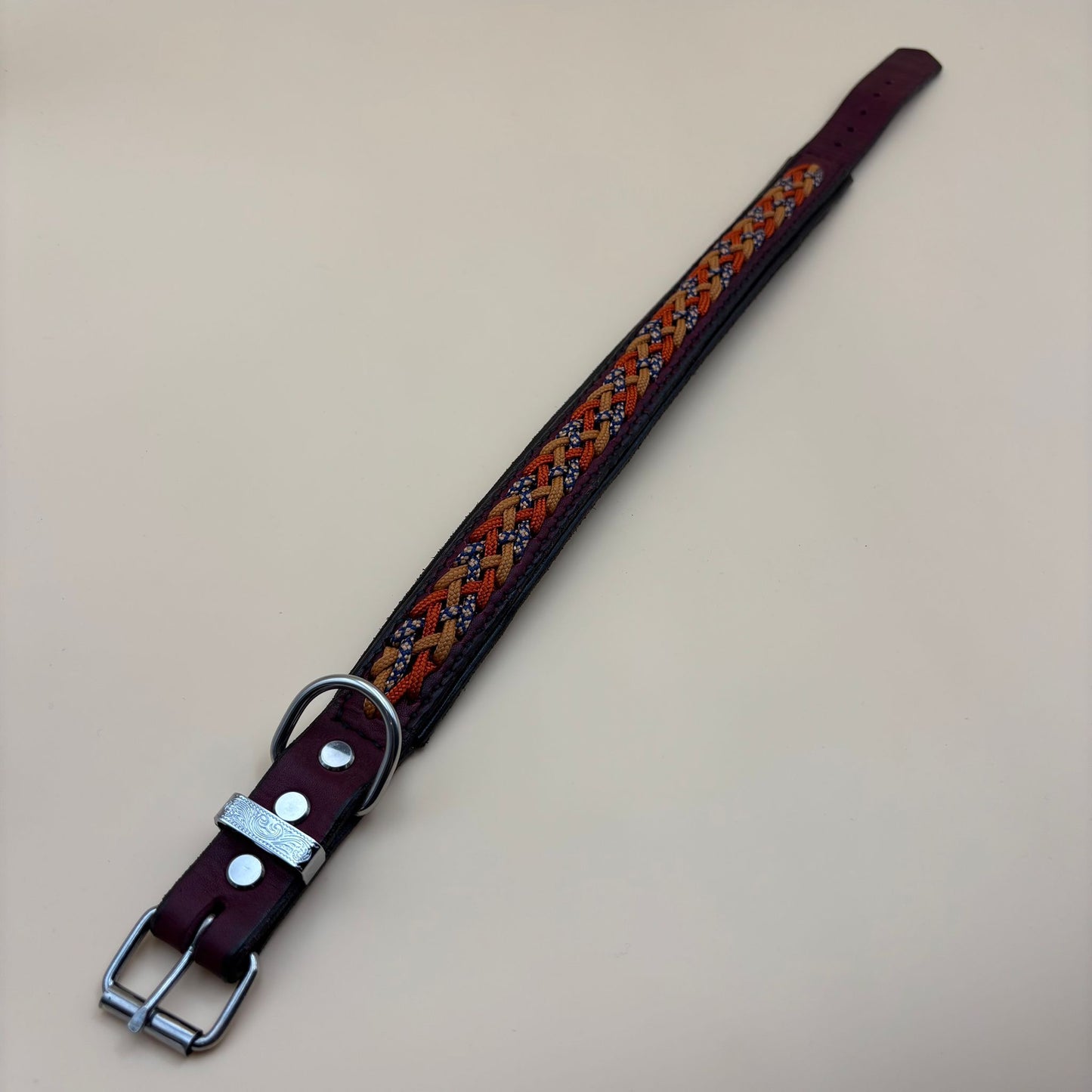 Hundehalsband Leder mit Paracord-Schnürung